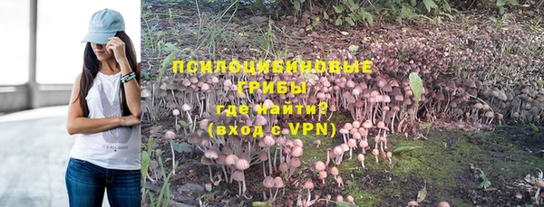 мяу мяу мука Анжеро-Судженск