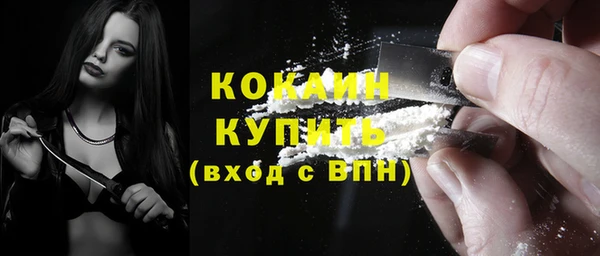 гидра Михайловка