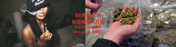 гидра Михайловка