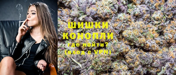 гидра Михайловка