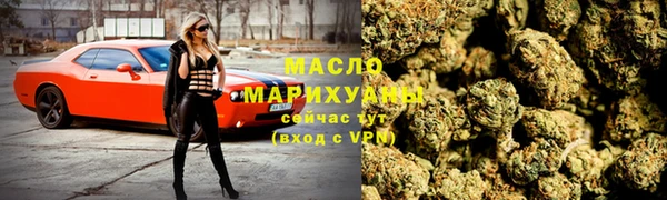 гидра Михайловка