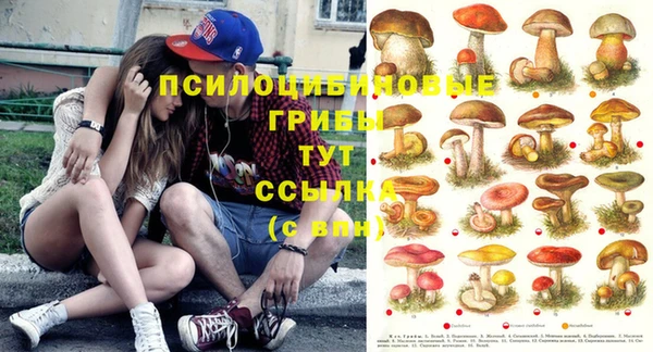 гидра Михайловка