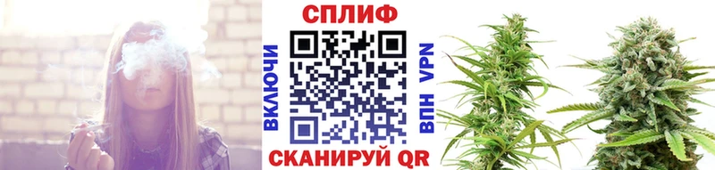 купить  сайты  Стрежевой  Канабис сатива 